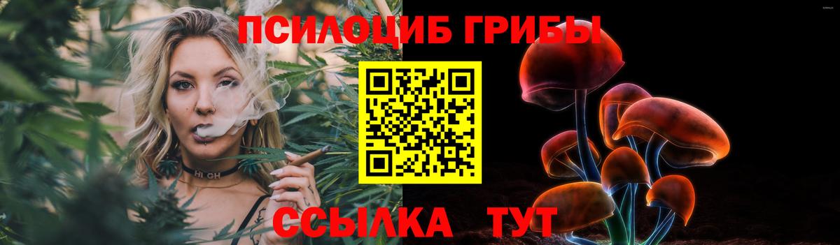 Красный Сулин  Псилоцибиновые грибы Psilocybe  Псилоцибиновые грибы Psilocybe  Вход с VPN 